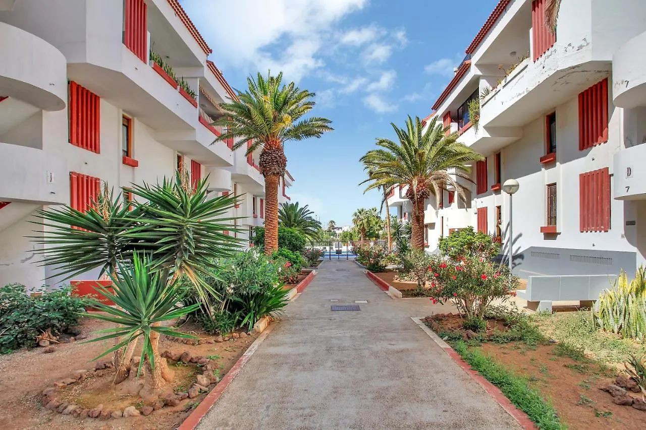 Charming Las Americas, Terrace, Fiber, Pool Apartment Playa de las Americas  0*, Playa de las Americas (Tenerife) Spain